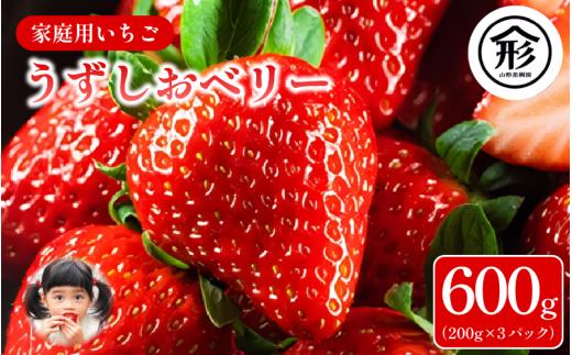 いちご 苺 3パック 600g 2026年1月～4月末まで発送 うずしおベリー 果物 フルーツ デザート 旬 新鮮 季節 冬 人気 ケーキ おすすめ ギフト プレゼント 贈答 家庭用 先行予約 送料無料 徳島