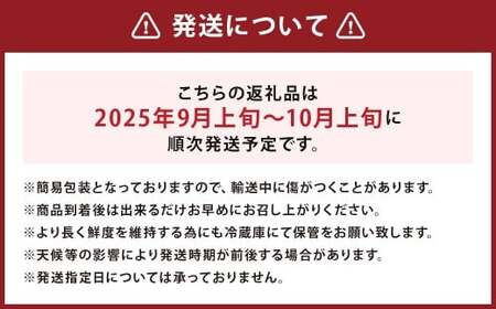 【訳あり】 紅いわて 約5kg 家庭用／わけあり りんご リンゴ フルーツ 果物 岩手 【2025年9月上旬－10月上旬発送予定】