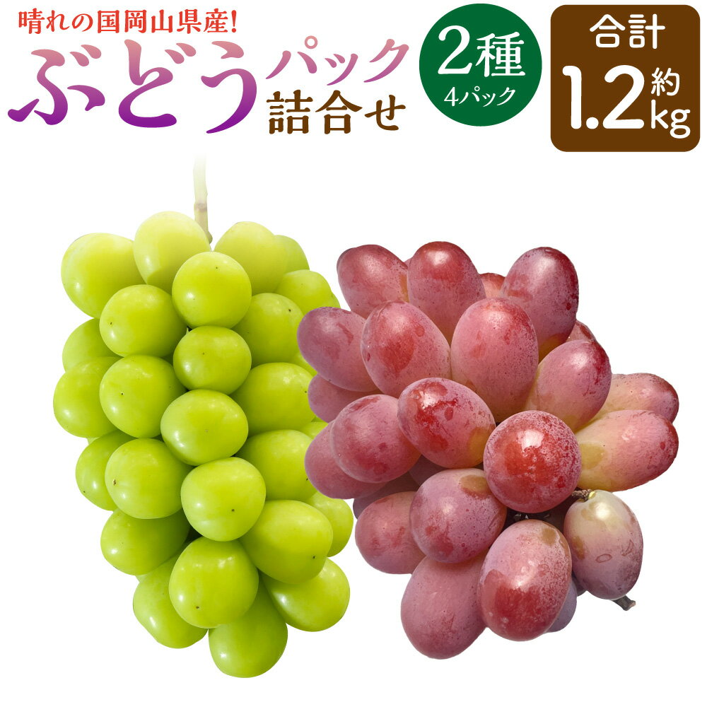 【ふるさと納税】岡山県産 ぶどう パック 詰合せ 2種 4パック セット 約1.2kg シャイン マスカット 晴王 ぶどう お任せ 詰め合わせ ブドウ 葡萄 フルーツ 果物 果実 国産 岡山県 奈義町 送料無料 【2025年9月上旬～11月下旬発送予定】