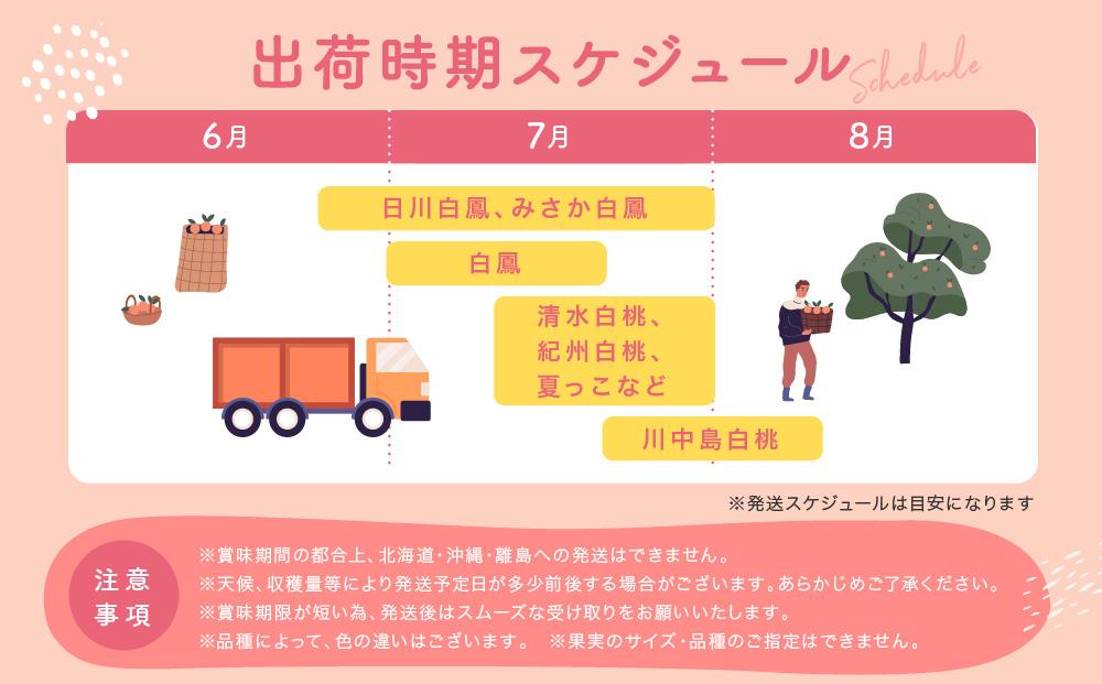 【産直・人気の特産品】和歌山の桃　約2kg・秀選品★2024年度発送★