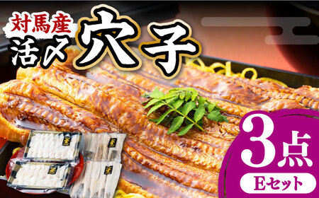 対馬産 活〆 穴子 ３点 セット E【THE・対馬株式会社】《対馬市》新鮮 あなご 刺身 天ぷら 海鮮 肉厚 簡単調理 6人前  九州 長崎 [WAS005]