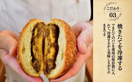 ＜12ヵ月定期便＞茨城県産小麦粉「ゆめかおり」を使用した こだわりのパン詰め合せ9種 全12回 | 茨城県 龍ケ崎市 食パン メロンパン カレーパン ベーグル コッペパン あんぱん クロワッサン 発酵