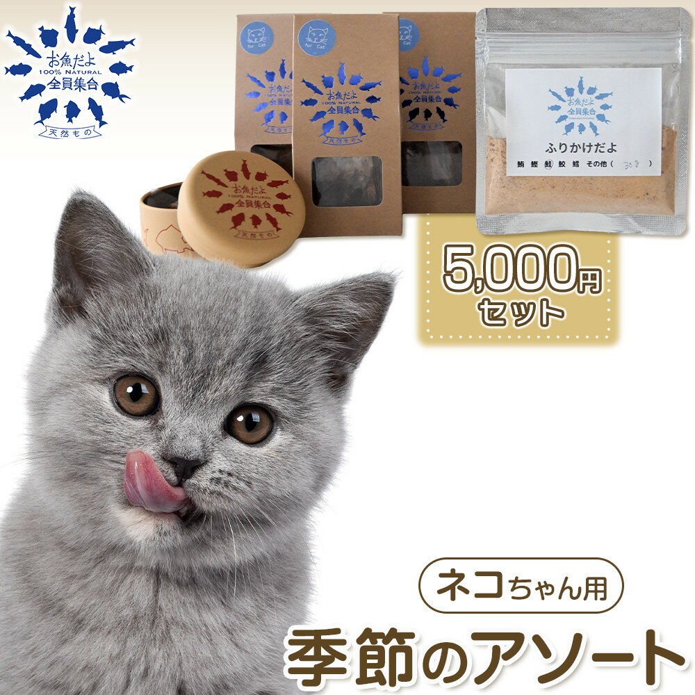 【ふるさと納税】お魚だよ全員集合　季節のアソートセット 5,000円セット　ネコちゃん用 | 魚 お魚 さかな 食品 人気 おすすめ 送料無料