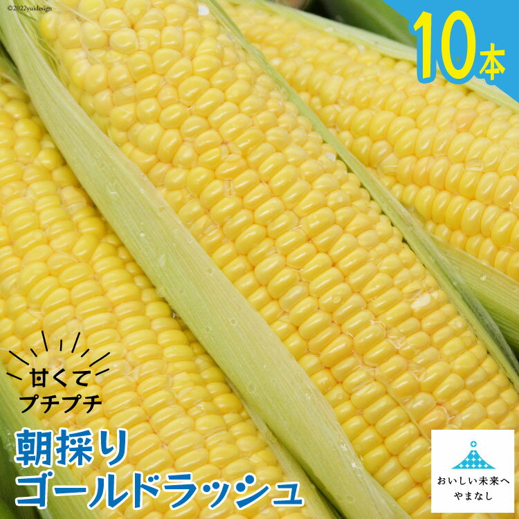 【ふるさと納税】【期間限定発送】 朝採り 即出荷 甘くてプチプチ ゴールドラッシュ 10本 [しゃんと畑 山梨県 中央市] 野菜 とうもろこし トウモロコシ 産地直送 【2025年6月上旬～7月上旬発送予定】