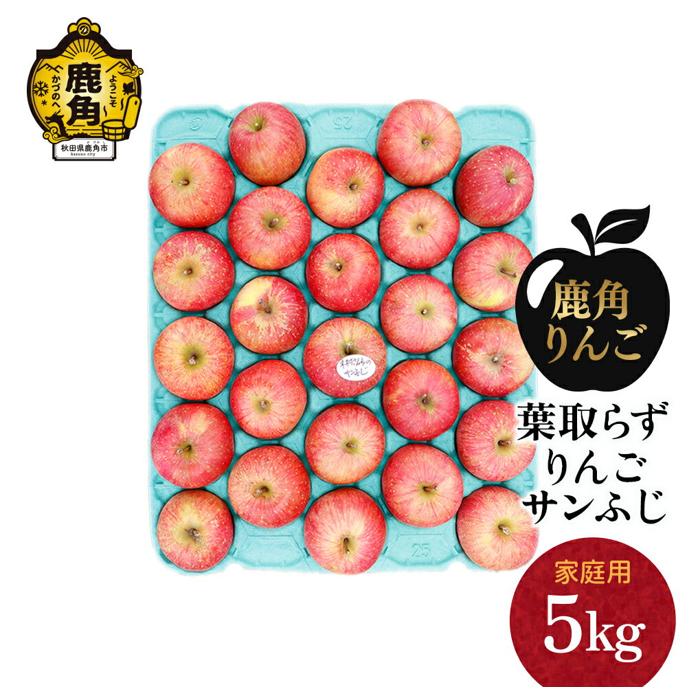 【ふるさと納税】《 先行予約 》 りんご 訳あり 葉取らず サンふじ 家庭用 小玉 5kg（23～25玉）【録政園】 葉とらず みずみずしい 果汁 リンゴ 林檎 完熟 旬 県産りんご お中元 お歳暮 贈り物 お見舞い グルメ ギフト 故郷 秋田県鹿角市産 送料無料