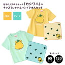 【ふるさと納税】おすすめ カシワニ キッズTシャツ ハンドタオルセット イエロー グリーン 子供用 半袖 90 120 ハンカチ セット