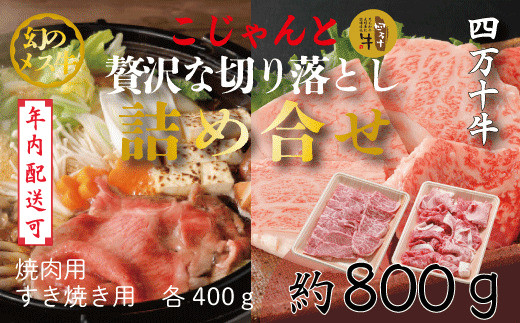 【年内配送】幻のメス牛　四万十牛こじゃんと贅沢な詰め合せ(焼肉用・すき焼き用)計800ｇ 24-020N