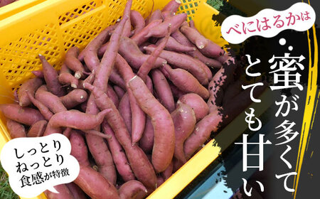 No.518 【箱入り】坂東市産　生さつまいも　紅はるか5kg（泥付きS、M、L混載）