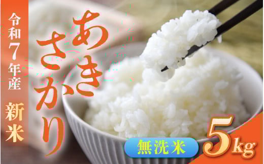【先行予約】無洗米 令和7年産 新米 福井市産あきさかり 5kg「2025年10月初旬より順次発送」 [A-094012] / あきさかり アキサカリ 福井県産 新米 令和七年 食品 ご飯 お米 白米