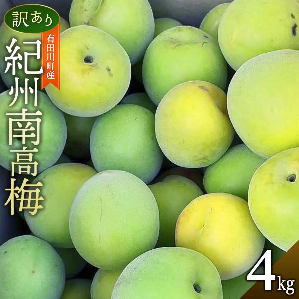 青梅 4kg 紀州南高梅 シロップ・梅酒・梅干し用等 和歌山県有田産 訳あり　2026年5月下旬～7月上旬発送予定