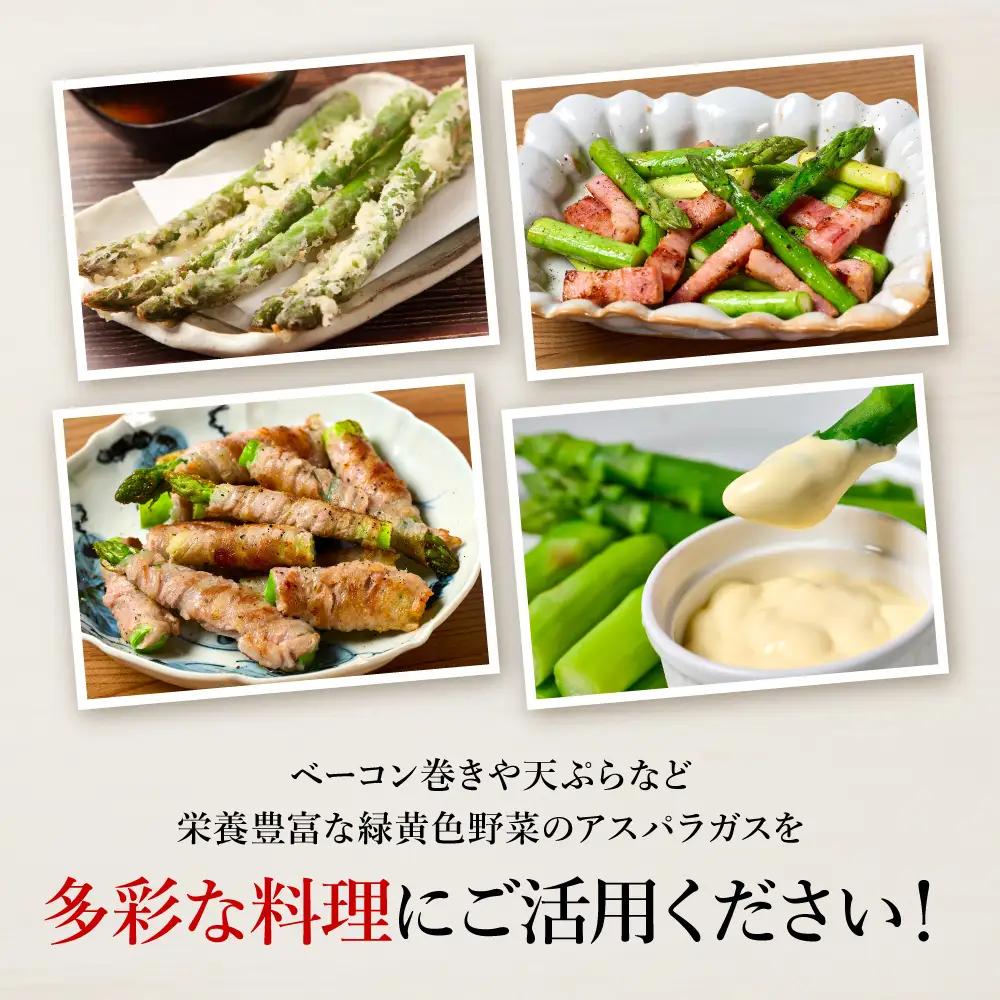 熊本県 八代市産 アスパラガス 500g 新鮮 アスパラ 野菜 やさい 旬