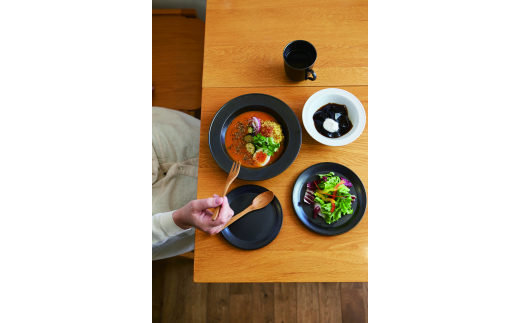 【美濃焼】 miyama. パスタボウル プルー 鉄釉 2個 瑞浪市 / ミヤマプランニング 食器 皿 プレート [AZCM055]