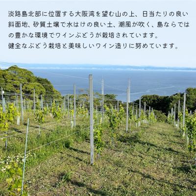 ふるさと納税 淡路市 島薫るBlanc 2025 -デラウエアペティアン-　750ml 微発泡白ワイン　ad02002 |  | 01