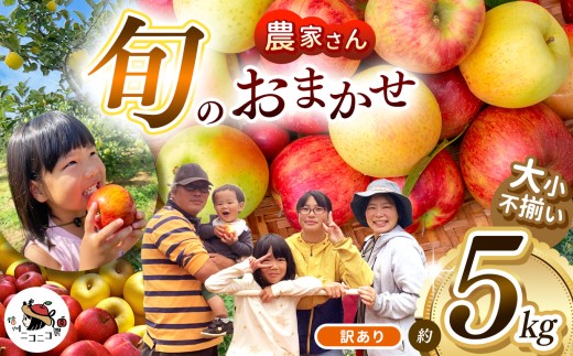 【訳あり】農家さん旬のおまかせ 約5kg【10月上旬～12月中旬頃にかけて順次発送予定】| 果物 くだもの フルーツ 林檎 りんご リンゴ 旬 おまかせ 果実 アップル 訳あり  秋映 シナノスイート シナノゴールド サンふじ ぐんま名月 長野県 塩尻市
