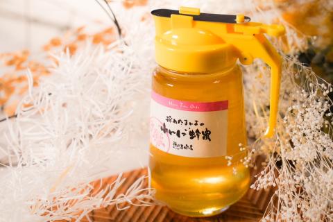 【大垣産】先行予約　希少な『れんげ蜂蜜』（パッカー容器入：450ｇ）農林水産大臣賞2回受賞