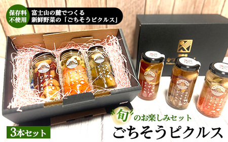 《旬のお楽しみセット》ごちそうピクルス 3本セット ｜ ぴくるす 酢漬け 漬物 10000円 1万円以内