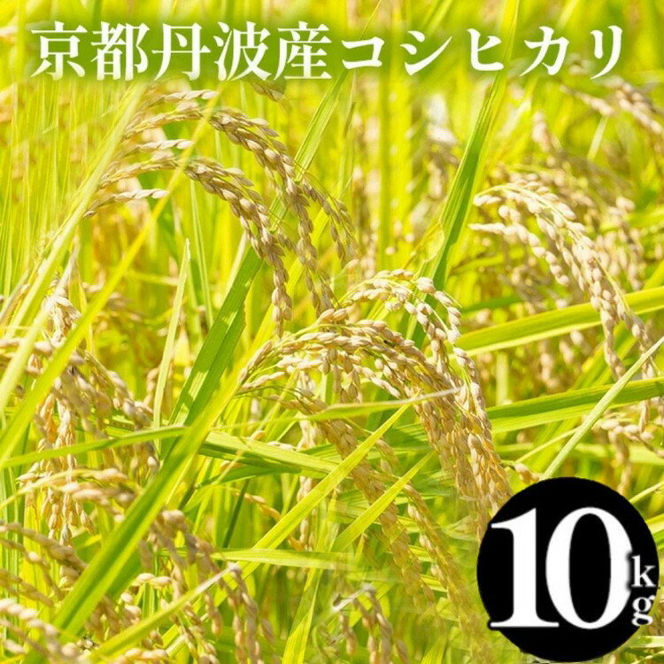 【ふるさと納税】【70th記念 年末感謝！】令和7年産 米 京都丹波産コシヒカリ 10kg(5kg×2袋) 選べる回数 1回 3回 6回 定期便 発送時期が選べる＜JA京都たわわ朝霧＞≪農協 白米 精米 産地直送 送料無料 簡易包装 生活応援 人気 国産 こしひかり 3ヶ月 6ヶ月≫