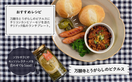 京都・福知山ピクルス　3本セット FCBV002