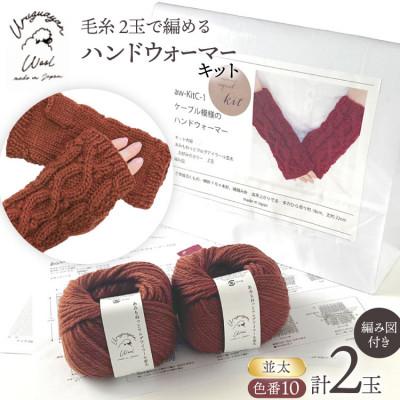 ふるさと納税 江南市 毛糸2玉で編めるケーブル模様のハンドウォーマーキット 10番色