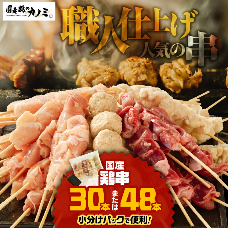 【ふるさと納税】＜選べる＞ 国産 鶏串 30本 or 48本 セット 6種 やきとり 焼鳥 焼き鳥 鶏もも 鶏むね 砂肝 肩肉 鶏皮 つくね 串 鳥串 たれ おかず 串カツ 惣菜 BBQ バーベキュー 個包装 小分け 大容量 冷凍 カノミ 鹿児島 鹿屋市 おすすめ ランキング プレゼント ギフト