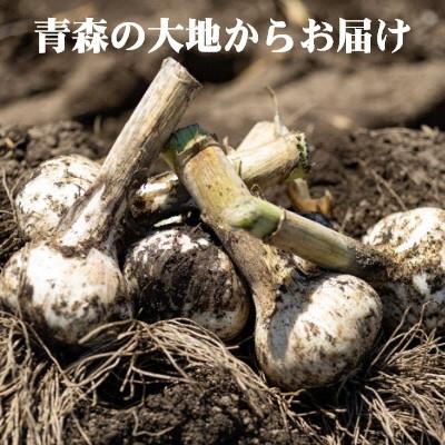 ふるさと納税 六戸町 青森県産　訳ありバラにんにく　(約1kg)J-06 |  | 02