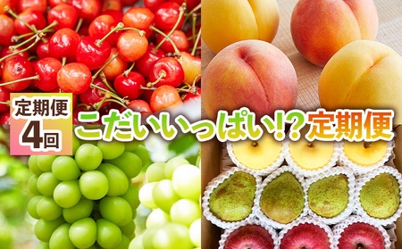 【定期便4回】こだいいっぱい！？ 定期便 【令和8年産先行予約】FS25-652 くだもの 果物 フルーツ 山形 山形県 山形市 2026年産