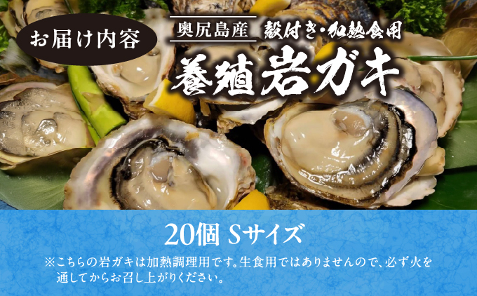 【先行予約 2026年7月20日より発送】奥尻島産養殖岩ガキ【Sサイズ】殻付き 30個入り（加熱食用）～豊かな海が育てた海の宝石～ | 冷蔵 | 北海道 奥尻町 送料無料