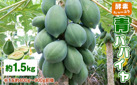 酵素たっぷり「 青パパイヤ 」1.5kg　W009-065-02 パパイヤ 野菜 便利 簡単 ヘルシー 保存野菜 ビタミンA カリウム 脂肪 タンパク質 炒め物 千切り 酢の物 漬け物 漬物 栄養満点 美味しい おいしい まるとよ農産 ふるさと納税 和泊町 おすすめ ランキング プレゼント ギフト