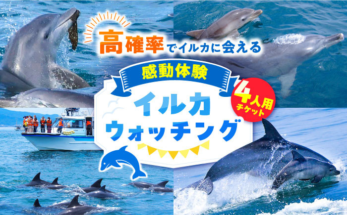 
            南島原 イルカウォッチング  4人用チケット / チケット ちけっと 体験型 観光チケット いるか イルカ イルカ体験 貸し切り いるか イルカ / 南島原市 / 南島原イルカウォッチング [SAE002]
          
