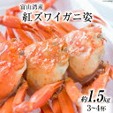 【ふるさと納税】富山湾産 紅 ズワイガニ 姿 ボイル 約 1.5kg（3～4杯） [寺田鮮魚店 富山県 朝日町 34310444] かに カニ 蟹 かにみそ カニ味噌 蟹味噌 新鮮 冷蔵 朝捕れ