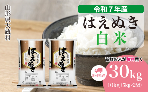 ＜令和7年産米＞ 令和8年5月下旬より発送 はえぬき【白米】30kg定期便 (10kg×3回)