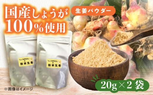 国産 生姜パウダー 2袋  調味料 しょうが 愛西市 / しょうがやさん 【配達不可：離島】 [AEAO008]