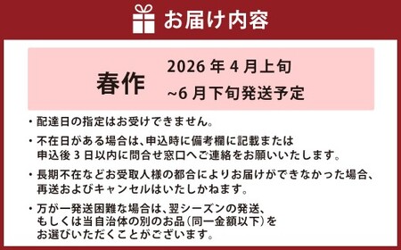【2026年発送】 春作 訳あり 桃太郎トマト 約4kg [ヨダファーム 山梨県 中央市 21470975] 規格外 家庭用 不揃い トマト とまと 野菜 やさい 4キロ 季節限定 期間限定 産地直送