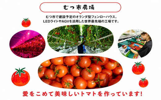 むつ市産　寅福菜園の「サステナブルトマト」4㎏