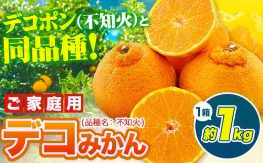 デコポン ( 不知火 )と同品種！デコみかん 熊本県産 (津奈木町産含む) 訳あり 約1kg前後 柑橘《2月中旬-4月末頃出荷》 みかん フルーツ 不知火 先行予約 訳あり 訳アリ ご家庭用 でこみかん 果物 予約受付