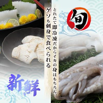 ふるさと納税 美浜町 新鮮で便利!旬のアオリイカ　刺身用開き大3枚　約1.3kg(冷凍) |  | 01