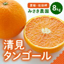 【ふるさと納税】清見タンゴール 8kg ｜ 柑橘 みかん ミカン 蜜柑 mikan 産地直送 果物 フルーツ 愛媛県 伊方町　※北海道、沖縄・離島への配送不可　※2025年3月中旬頃から順次発送予定