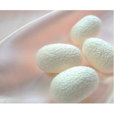 ふるさと納税 岸和田市 【シングルセット】ピュアシルク敷パッド1枚&枕パッド(M)1枚 SCC-1020S/4363 |  | 03