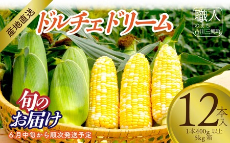 【2025年6月中旬から発送】とうもろこし「ドルチェドリーム」12本入り 1本400g以上 5kg箱 株式会社アグリ甲斐（山梨県市川三郷町産）[5839-2215]