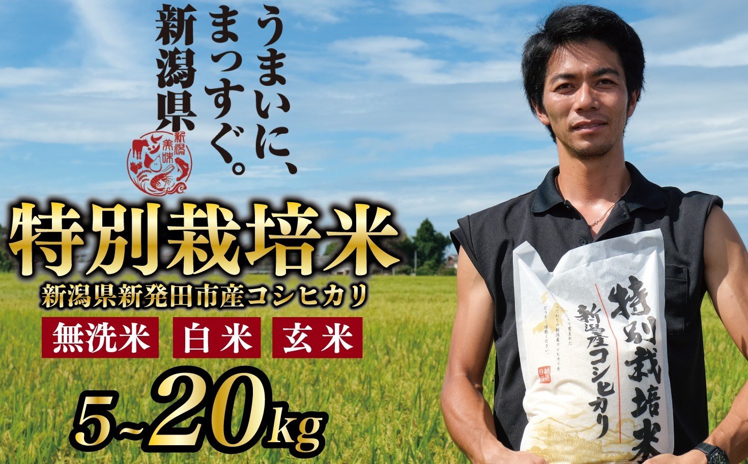 
            先行予約 令和7年産 コシヒカリ 5kg 10kg 20kg 無洗米 白米 玄米 新潟 新発田 斗伸 toushin001_02P
          