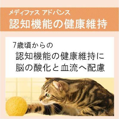ふるさと納税 多治見市 【最短当日発送】メディファスアドバンス 認知機能健康維持 7歳頃〜 1.25kg(250g×5袋) |  | 01