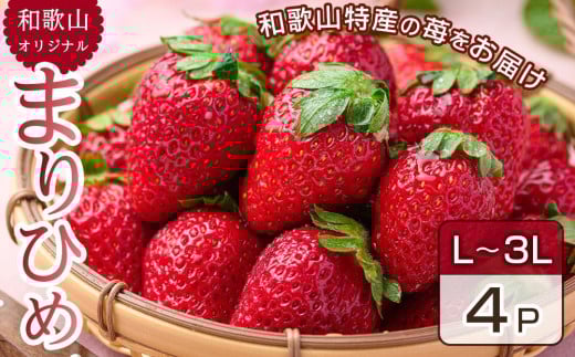 
            2月中旬より発送 和歌山県 オリジナル まりひめ イチゴ4パック入り（3L～L寸）
          