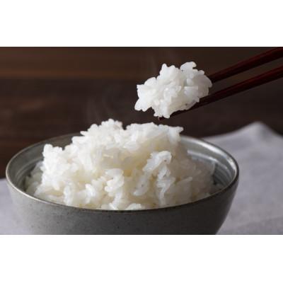 ふるさと納税 宮城県 【令和7年産】宮城県登米市産　特別栽培米ひとめぼれ 5kg |  | 02