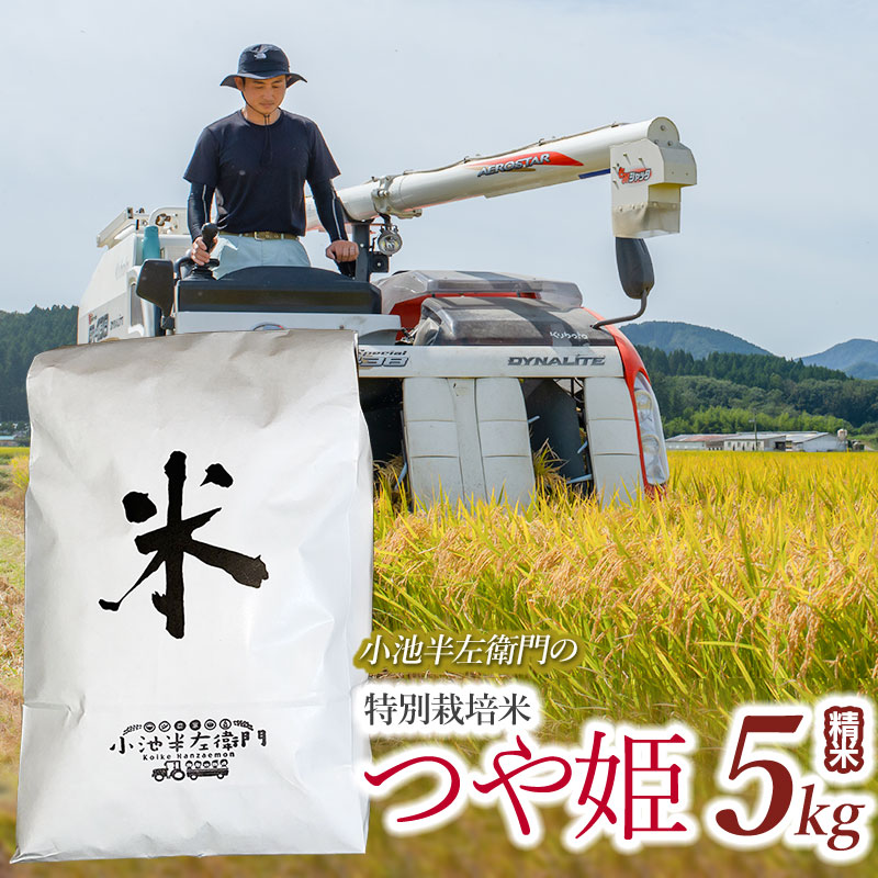 数量限定 【令和7年産】【新米】 山形県庄内産 小池半左衛門のお米 特別栽培米 つや姫 精米 5kg (5kg×1袋)