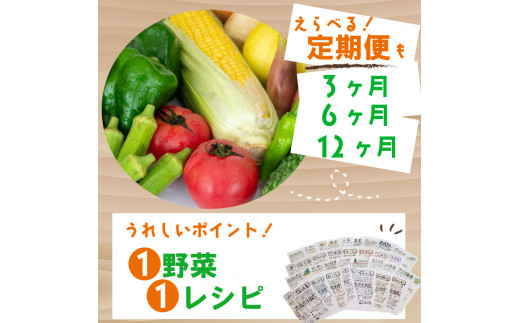 野菜定期便 7品~8品 6ヵ月 【6ヶ月】野菜定期便