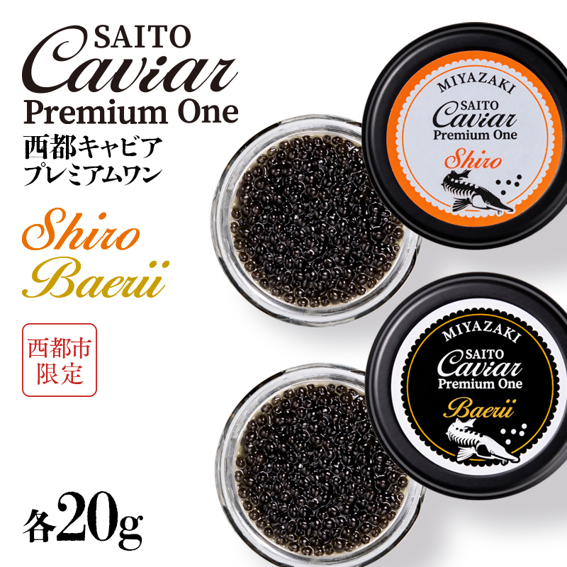 西都キャビア プレミアムワン 究極の食べ比べセット シロ20ｇ バエリ20ｇ『SAITO CAVIAR PREMIUM ONE 』 国産 《西都市オリジナル》 熟成キャビア＜9-10＞魚介類 魚卵 高級珍味 ギフト 宮崎県西都市