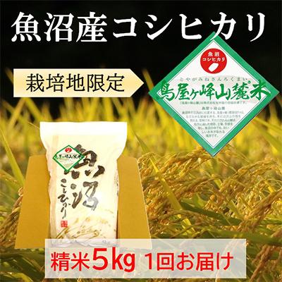ふるさと納税 魚沼市 令和7年産【魚沼コシヒカリ】鳥屋ヶ峰山麓米 5kg (精米5kg×1袋)