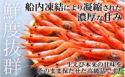 甘えび 特大サイズ60尾 1kg （500g × 2箱） 船内凍結 福井県沖から直送！鮮度と旨味に自信あり【 福井漁連 ブランド品 甘エビ あまえび 1キロ 】 [e12-b007]