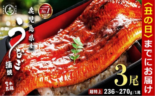 【丑の日配送】【数量限定】鹿児島県産うなぎ蒲焼 名水慈鰻 超特上 3尾(1尾あたり236~270g)＜計750g以上＞ うなぎ 鰻 ウナギ 3尾 国産 蒲焼 かばやき 冷凍 真空 真空パック 無頭 うな重 ひつまぶし タレ 山椒 b2-049-us