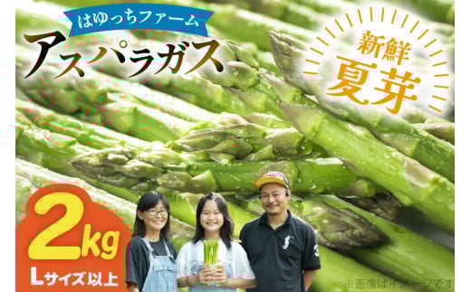 アスパラ アスパラガス 夏芽アスパラガス 2kg L サイズ以上 [はゆっちFARM 長崎県 東彼杵町 hs42bag360003] アスパラ あすぱら 新鮮 夏